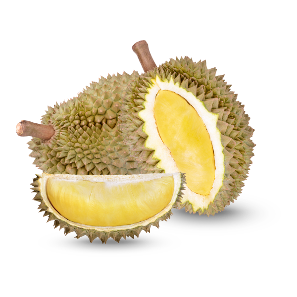 PIMENT DE TABLE - Image 2