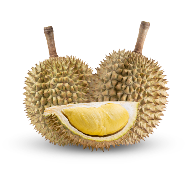 PIMENT DE TABLE - Image 3