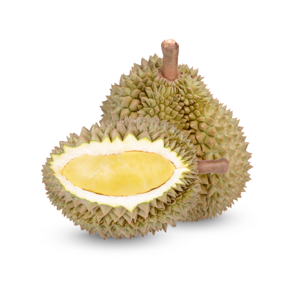 PIMENT DE TABLE - Image 4