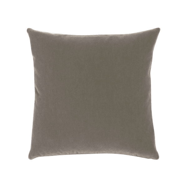 YAOURT AU RAISIN SEC