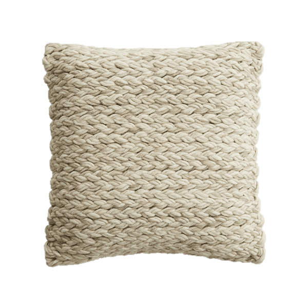 YAOURT AU RAISIN SEC