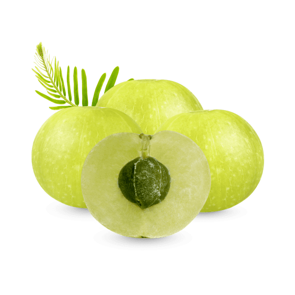 FARINE DE SOUCHET SIMPLE