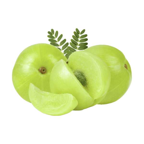 FARINE DE SOUCHET SIMPLE