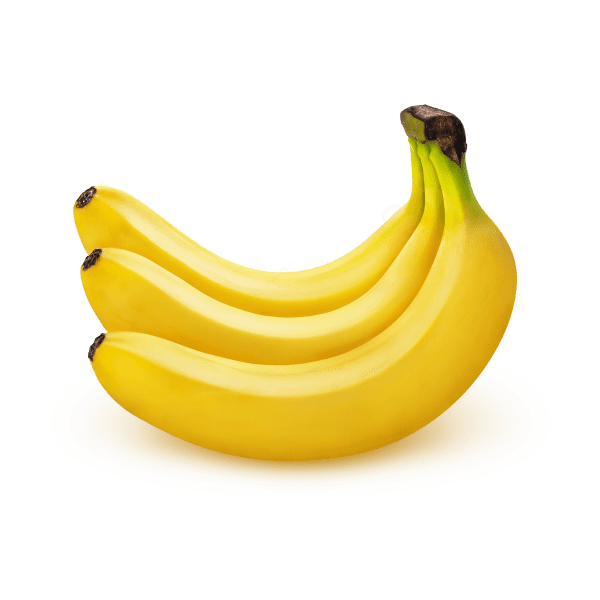 GROQUETTE DE SOUCHET