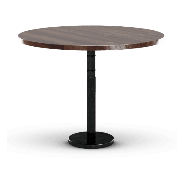 POUDRE DE CAFE (PURE BIO)