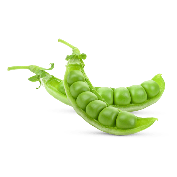 MELANGE  DE 8 EPICES