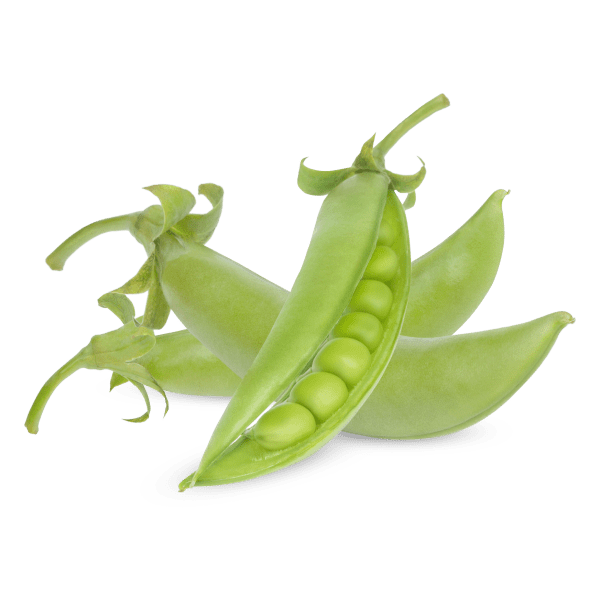 MELANGE  DE 8 EPICES