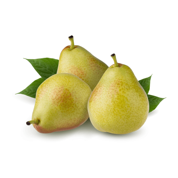 CLOU DE GIROFLE - Image 2