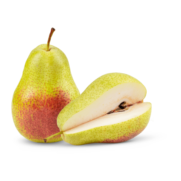 CLOU DE GIROFLE - Image 3