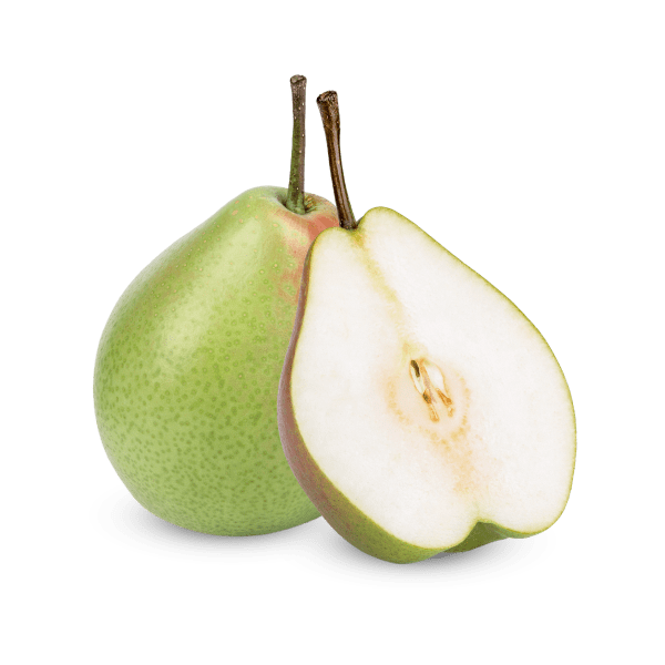 CLOU DE GIROFLE - Image 4