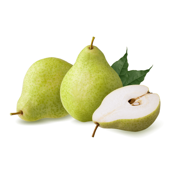 CLOU DE GIROFLE - Image 5