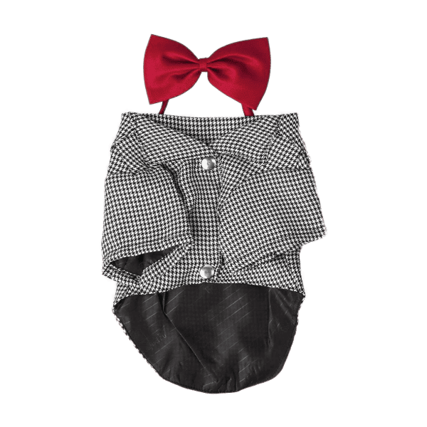 LIQUEUR D'AIL - Image 4