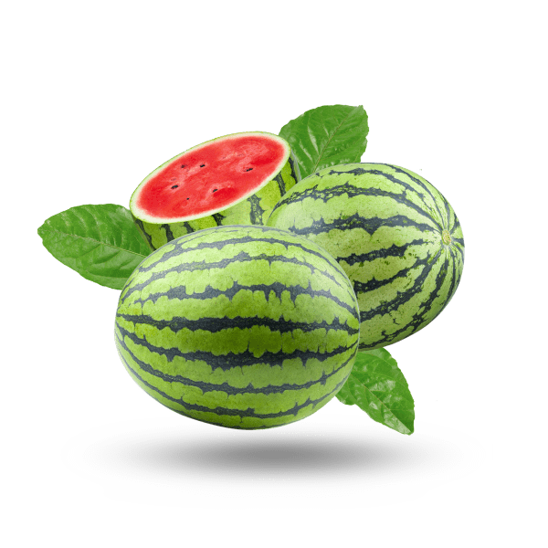 PUR POIVRE NOIR MOULU